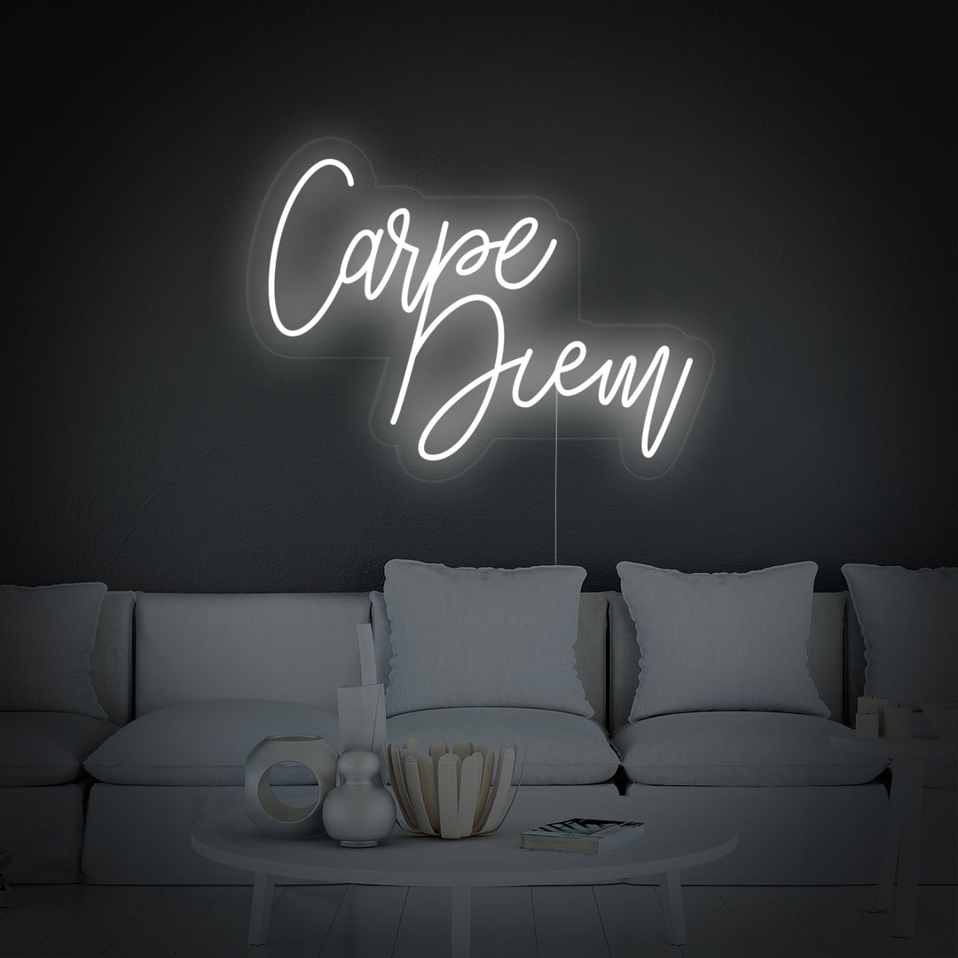 "Carpe Diem Latin Means Seize the Day" Neon Sign