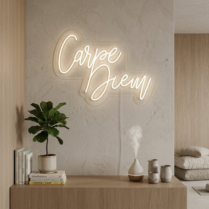 "Carpe Diem Latin Means Seize the Day" Neon Sign