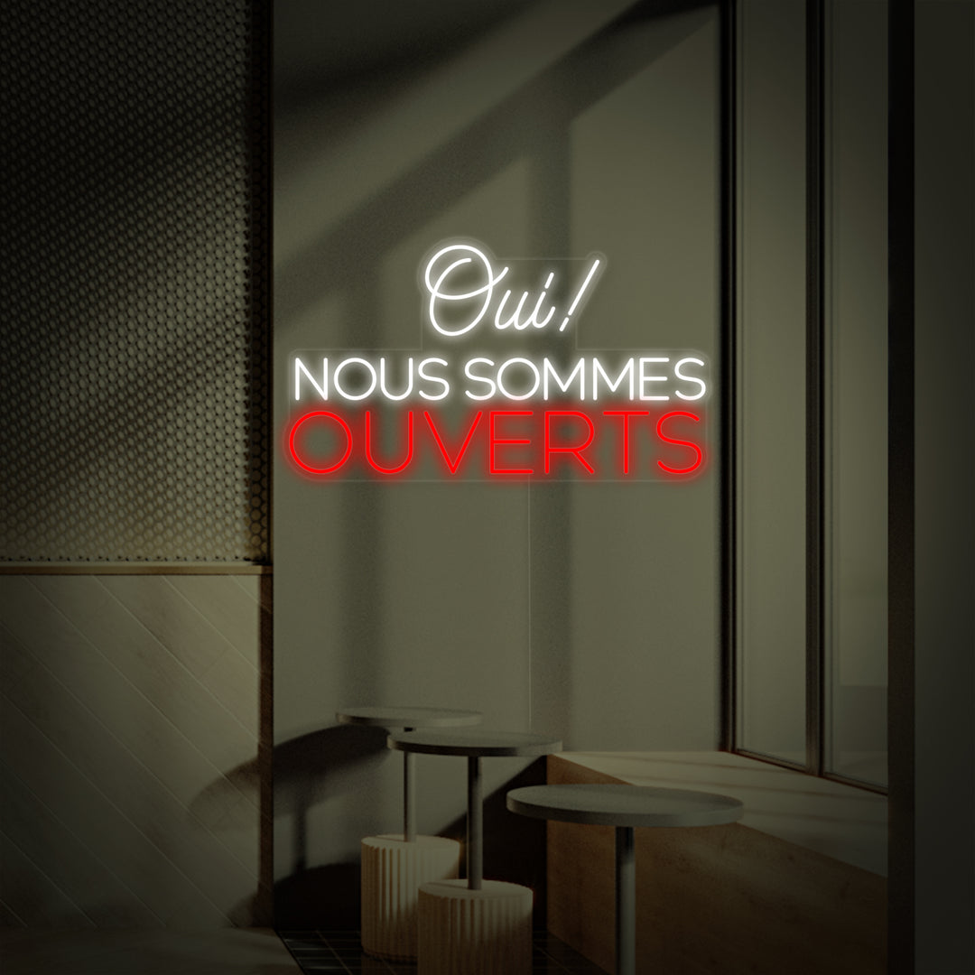 Oui Nous Sommes Ouverts Yes We Are Open French Neon Sign