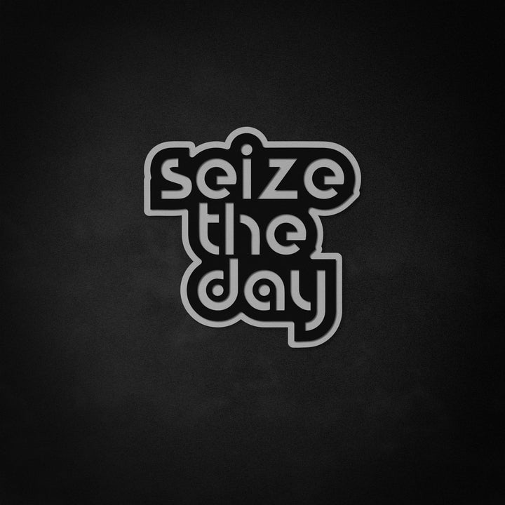 "Seize The Day" Neon Like Sign